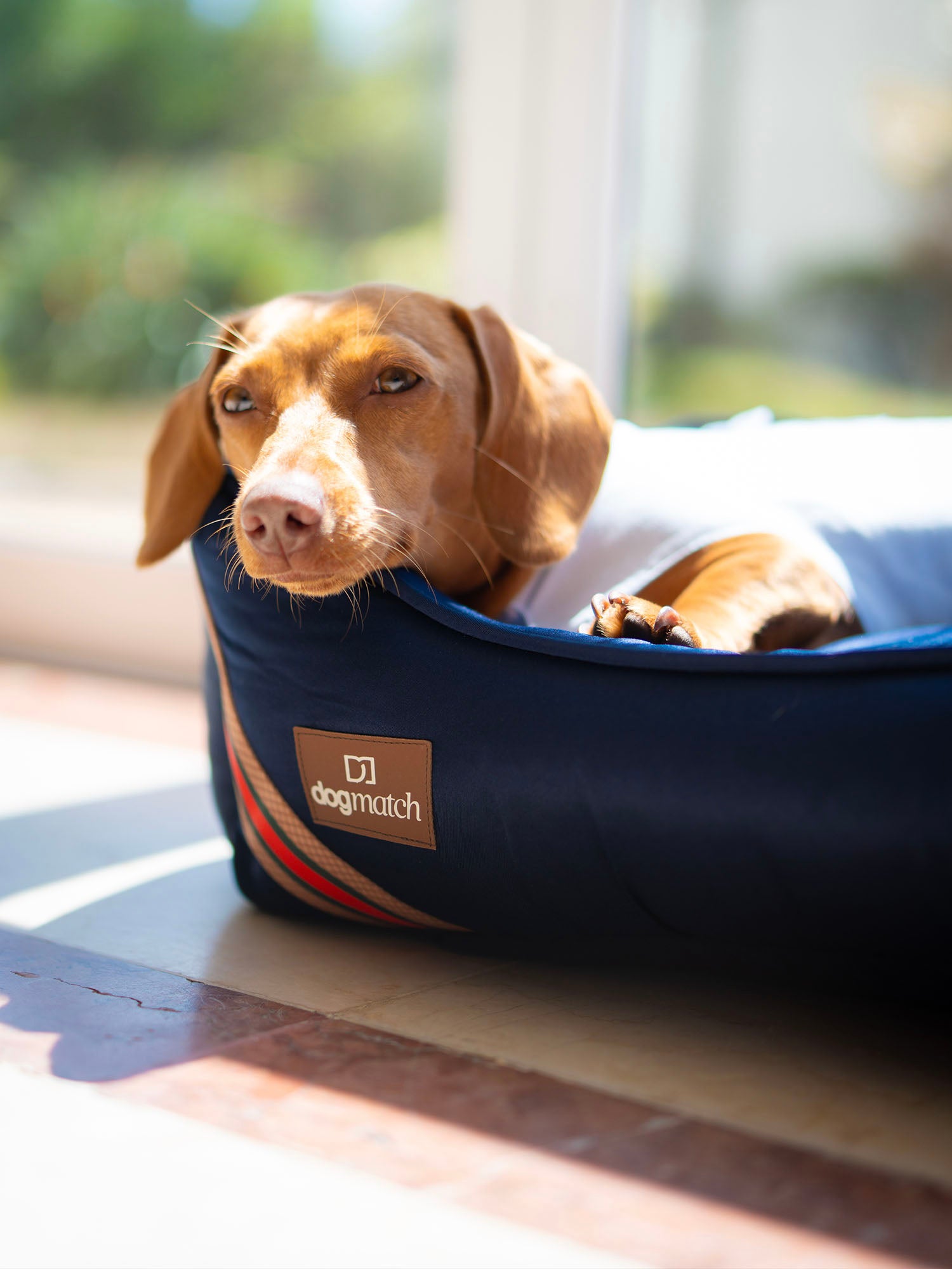 Cama Blue Comfort – dogmatch PET